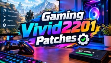Gaming Vivid2201 Patches